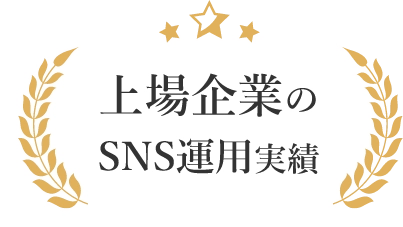 上場企業のSNS運用実績